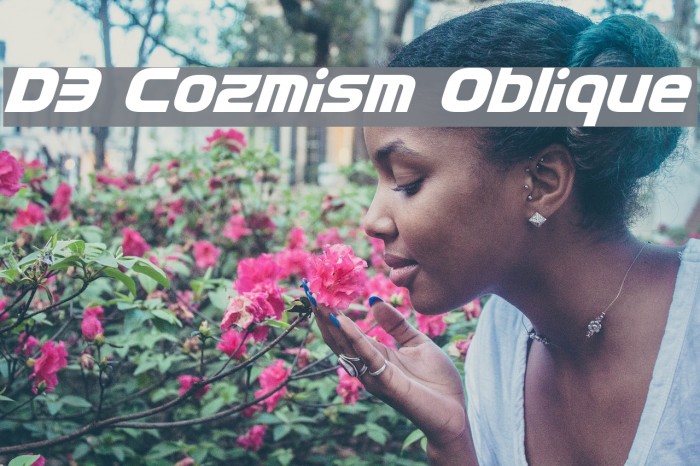 D3 Cozmism Oblique Font examples
