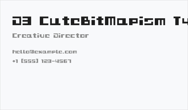 D3 CuteBitMapism TypeB Business Card