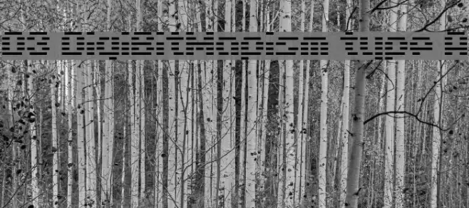 D3 DigiBitMapism type A Example 2