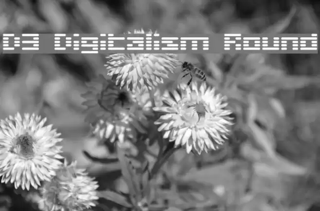 D3 Digitalism Round Font examples