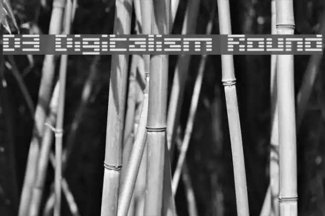 D3 Digitalism Round Font examples