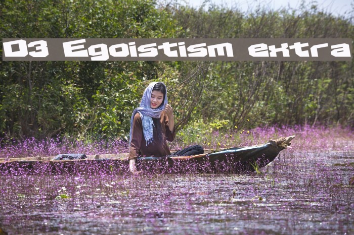 D3 Egoistism extra Font examples