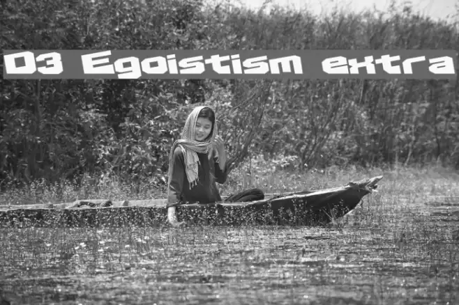 D3 Egoistism extra خط examples