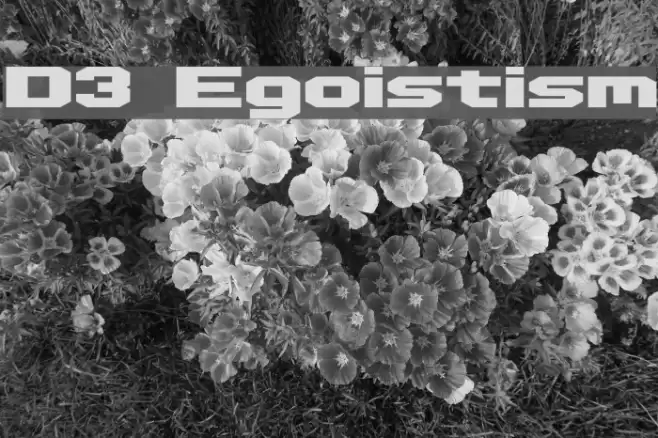 D3 Egoistism Font examples