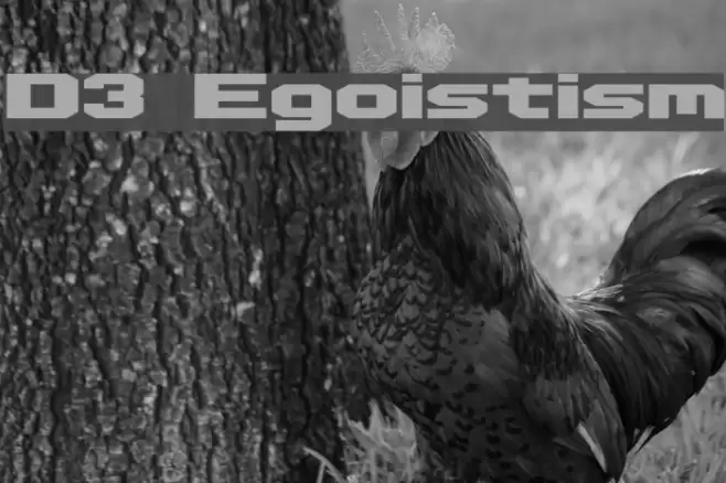 D3 Egoistism Font examples