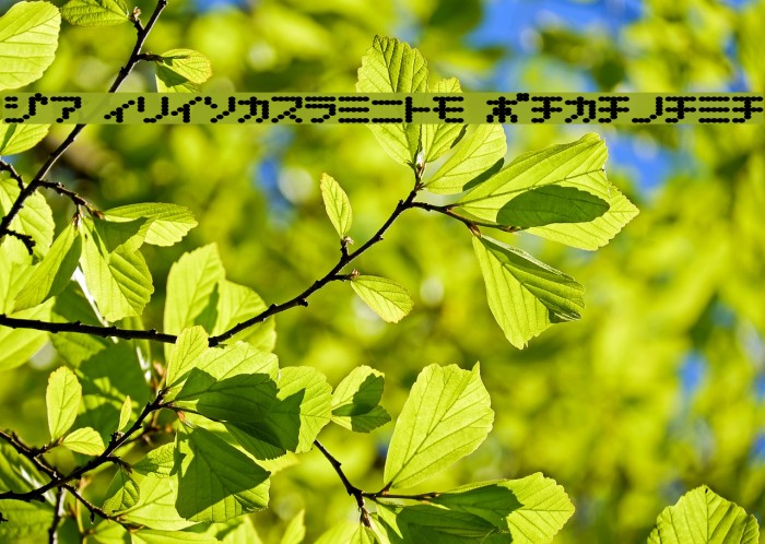 D3 Electronism Katakana Font examples