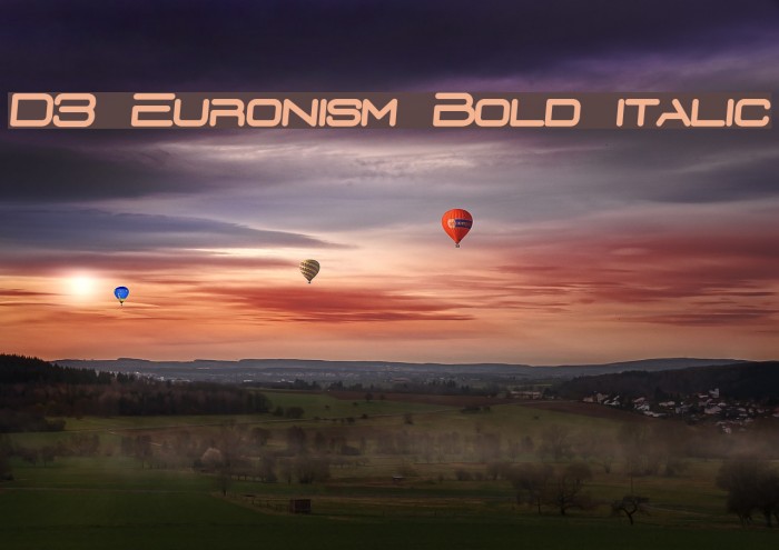 D3 Euronism Bold italic Font examples