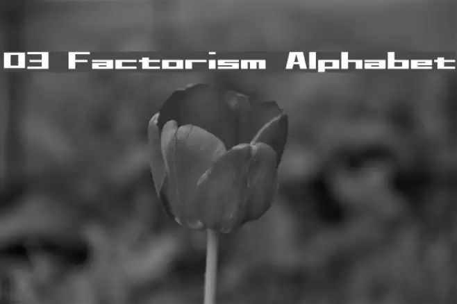 D3 Factorism Alphabet Font examples