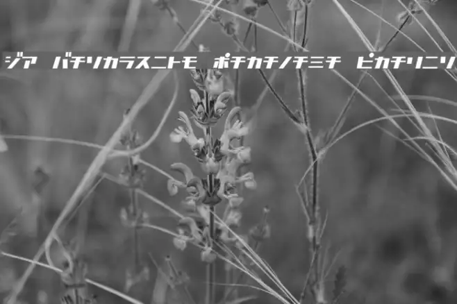 D3 Factorism Katakana Italic Example 2