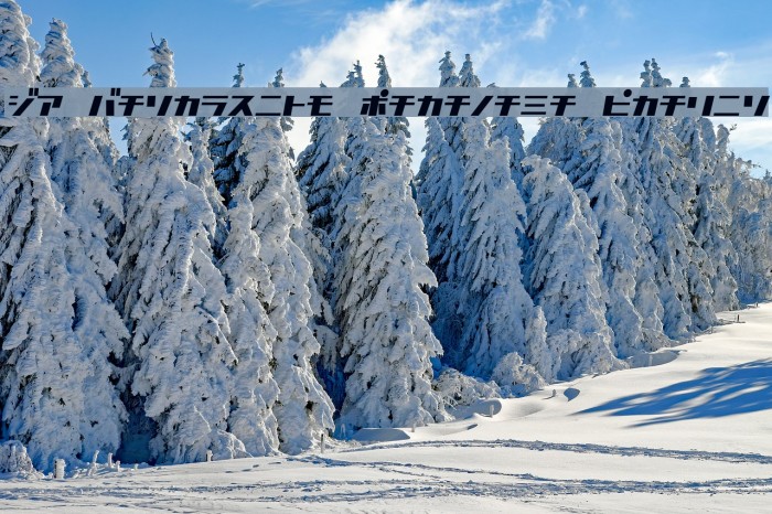 D3 Factorism Katakana Italic Font examples