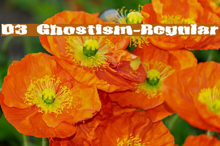 D3 Ghostism-Regular Font examples