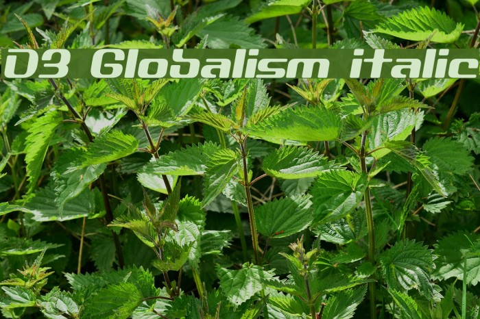 D3 Globalism italic Example 2