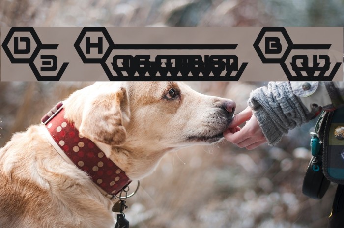 D3 Honeycombism Bold Example 1