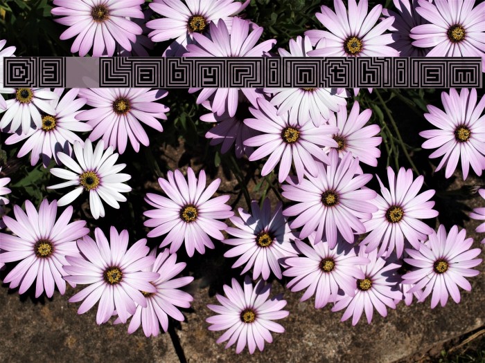 D3 Labyrinthism Font examples