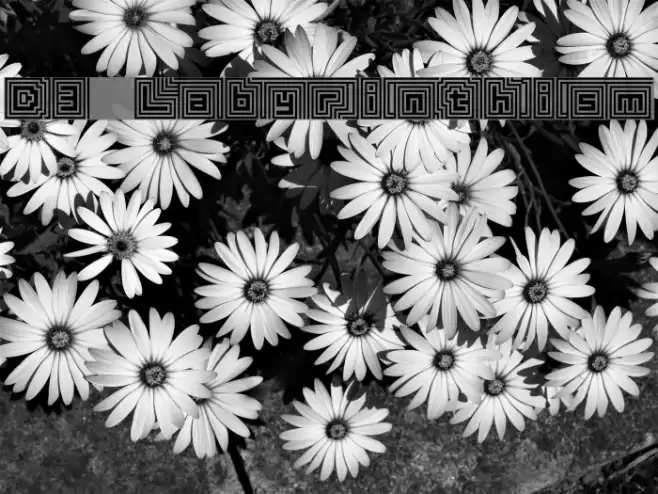 D3 Labyrinthism Font examples
