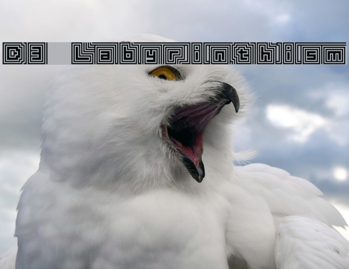 D3 Labyrinthism Font examples