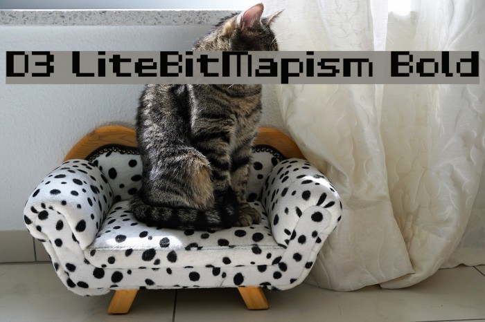 D3 LiteBitMapism Bold Font examples