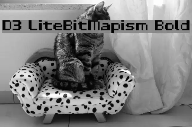 D3 LiteBitMapism Bold फ़ॉन्ट examples
