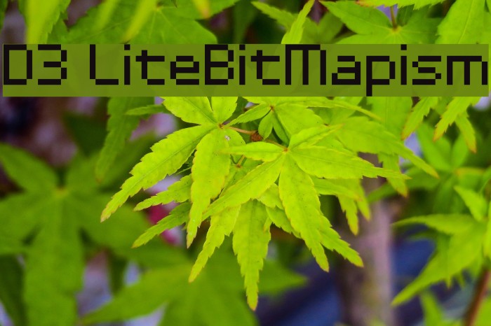 D3 LiteBitMapism Schriftart examples