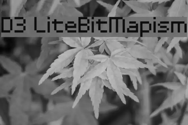 D3 LiteBitMapism Schriftart examples