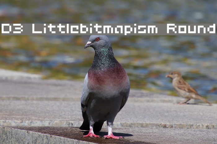 D3 Littlebitmapism Round Font examples