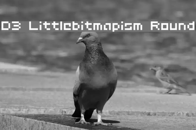 D3 Littlebitmapism Round Fonte examples