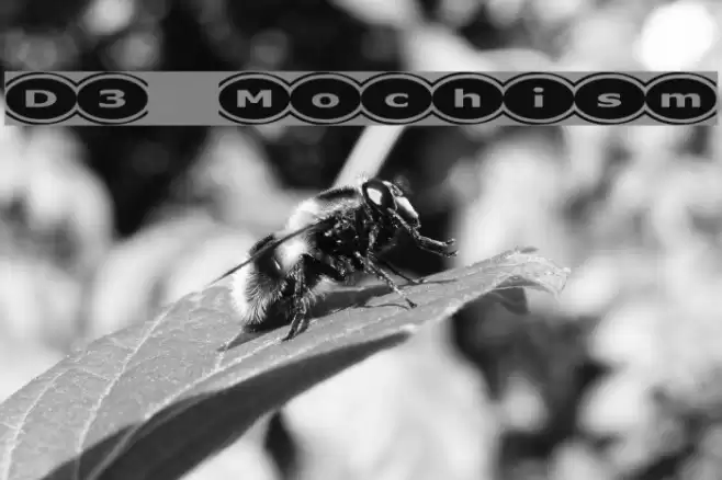 D3 Mochism Font examples