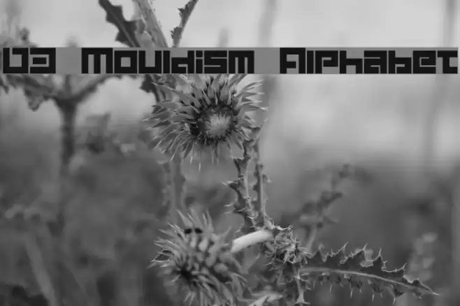 D3 Mouldism Alphabet Font examples