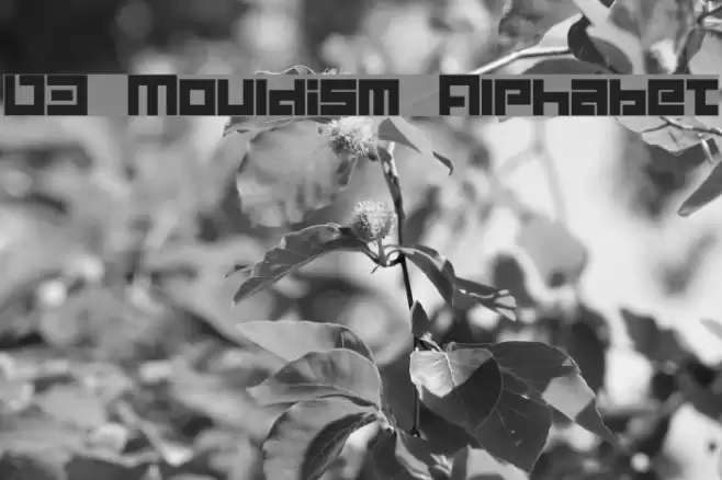 D3 Mouldism Alphabet Font examples