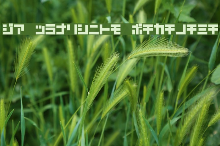 D3 Mouldism Katakana फ़ॉन्ट examples