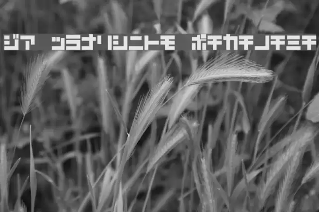 D3 Mouldism Katakana Font examples