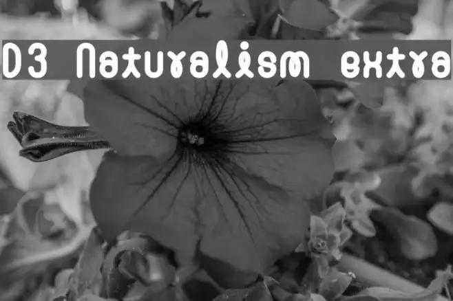 D3 Naturalism extra Example 1