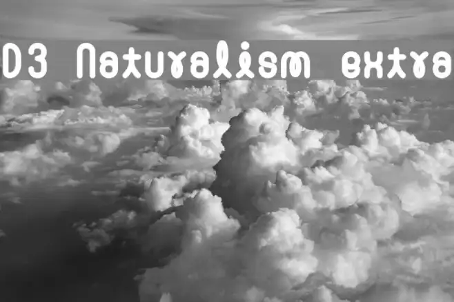 D3 Naturalism extra Example 2
