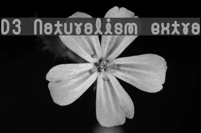 D3 Naturalism extra Example 3