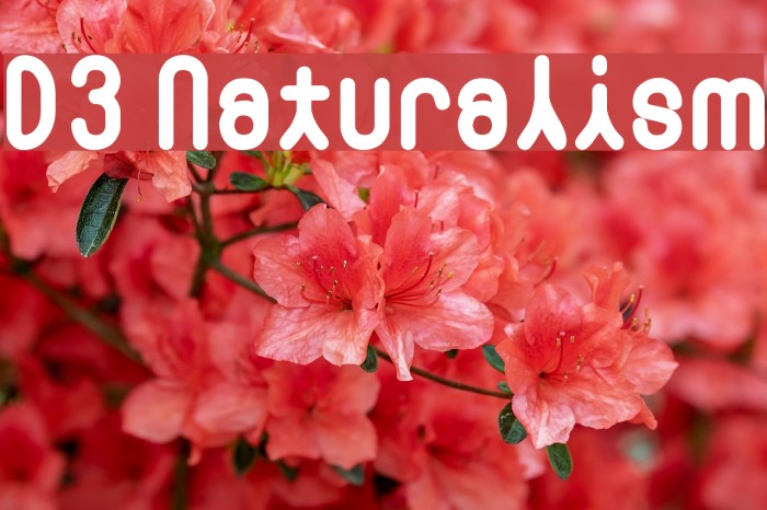 D3 Naturalism Font examples