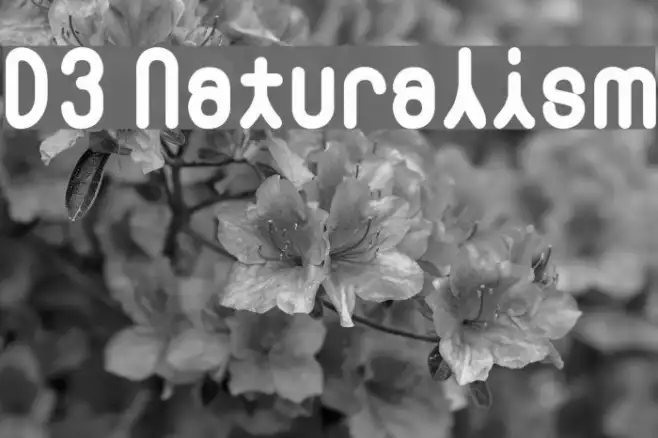 D3 Naturalism Example 1