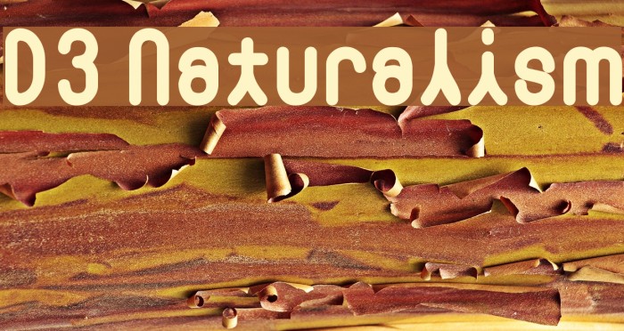 D3 Naturalism Font examples