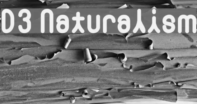 D3 Naturalism Example 2