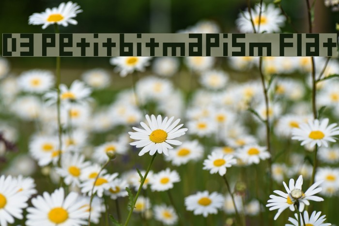 D3 Petitbitmapism Flat Font examples