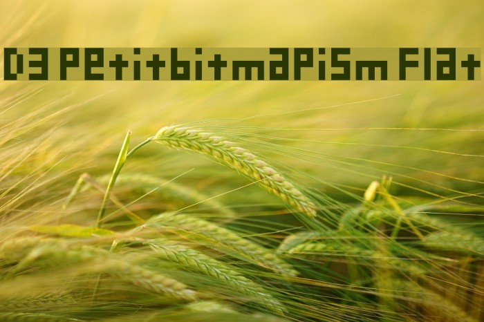 D3 Petitbitmapism Flat Font examples
