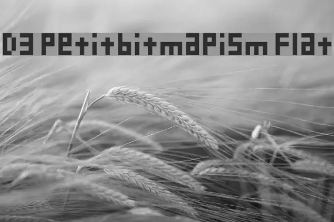 D3 Petitbitmapism Flat Example 2