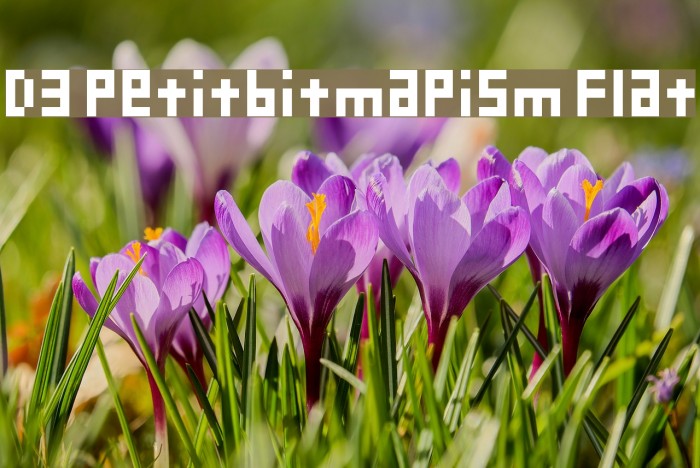 D3 Petitbitmapism Flat Font examples