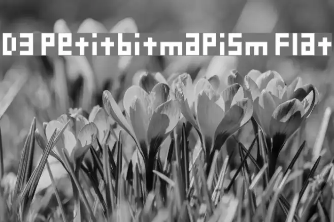 D3 Petitbitmapism Flat Example 3