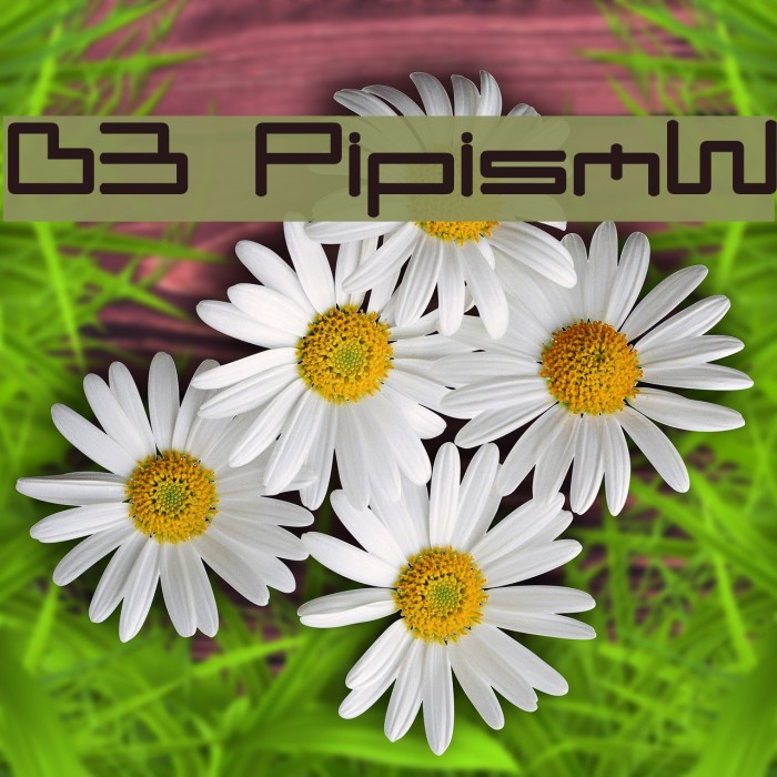 D3 PipismW Font examples