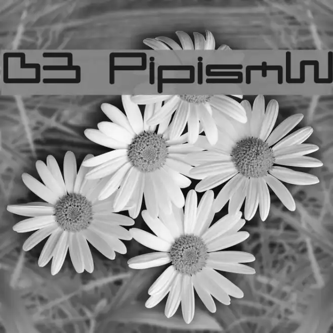 D3 PipismW Example 1