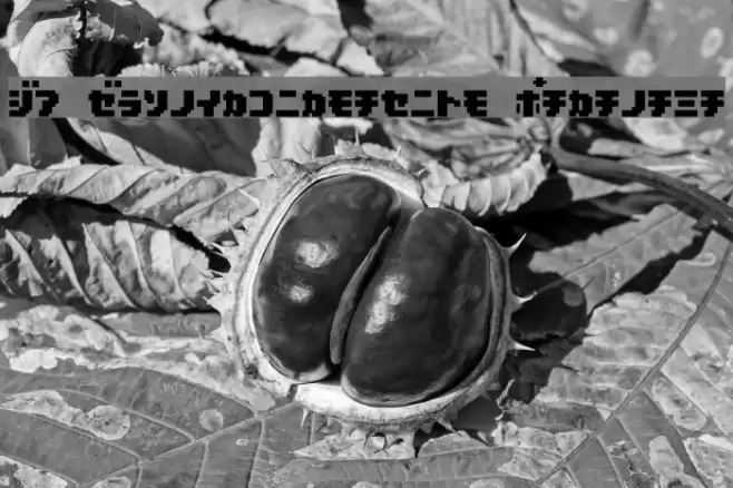 D3 Pocketbitmapism Katakana Font examples