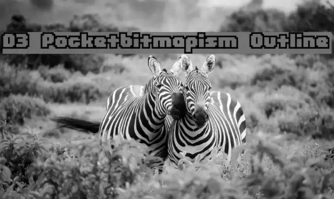 D3 Pocketbitmapism Outline Font examples