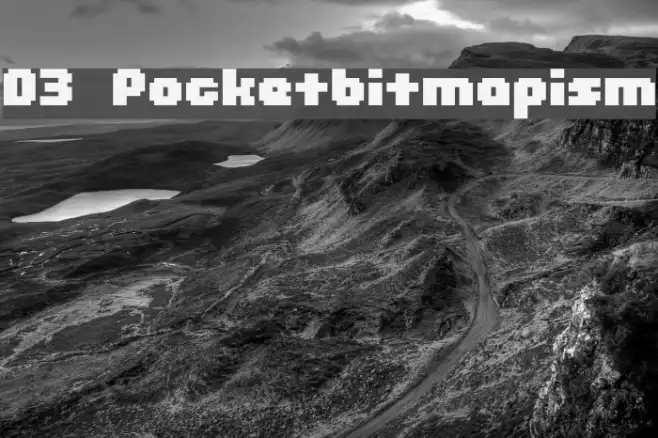 D3 Pocketbitmapism Example 1