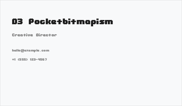 D3 Pocketbitmapism Business Card