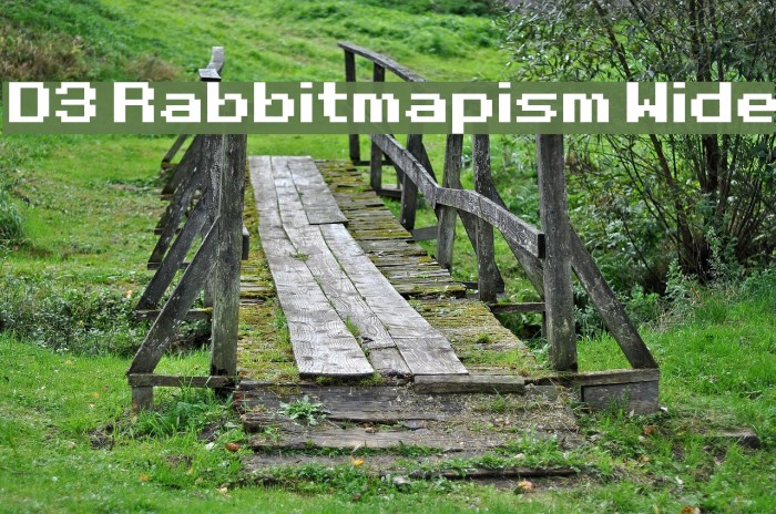 D3 Rabbitmapism Wide 字体 examples